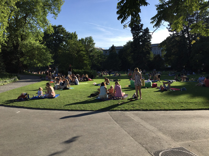 Families and groups picnicking in the sunshine