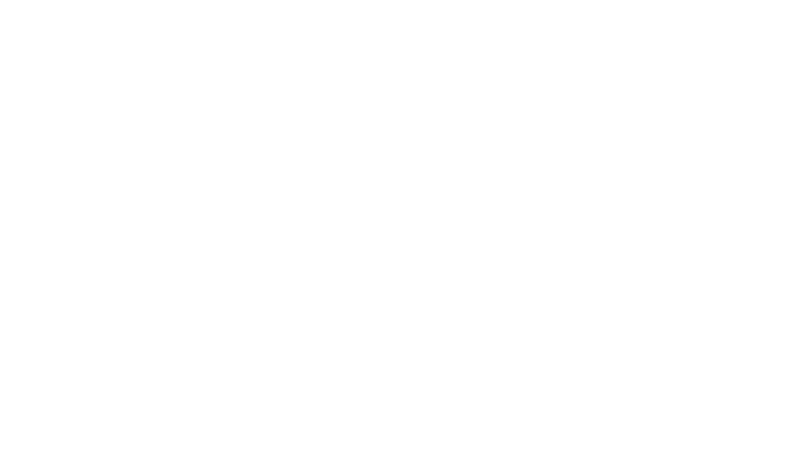 Wild Rumpus